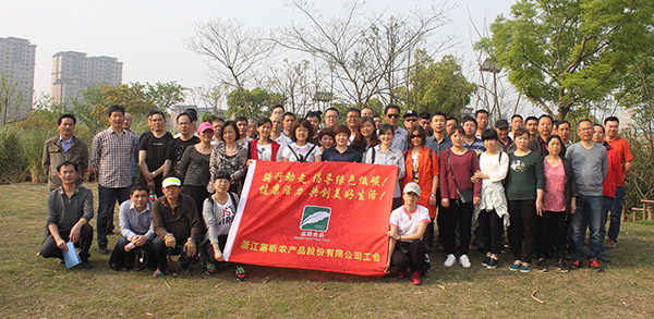 17-4-16新塍绿路-(1).jpg