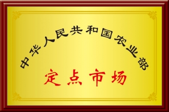 定点市场
