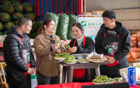 又到蚕豆飘香时