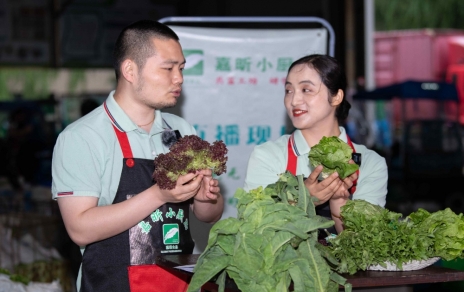 千金如玉，一口清心--生菜?油麦菜?莴笋直播专场